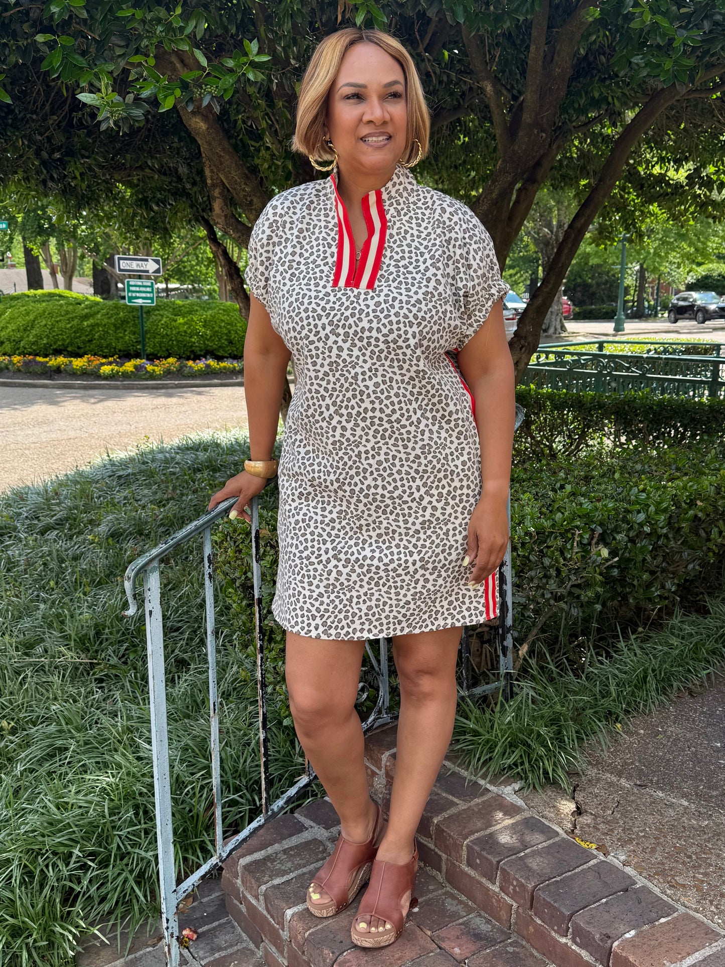 Liza Red Strip Animal Print Dress