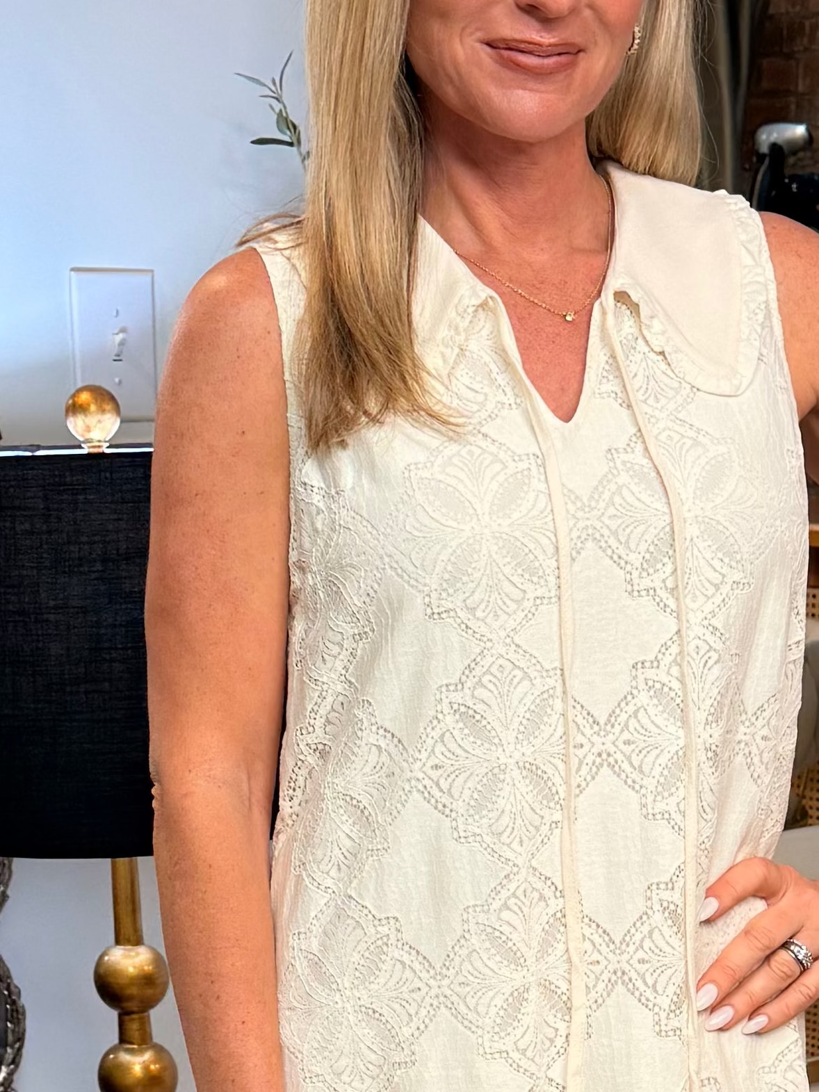 Lace Ruffled Collar Dress