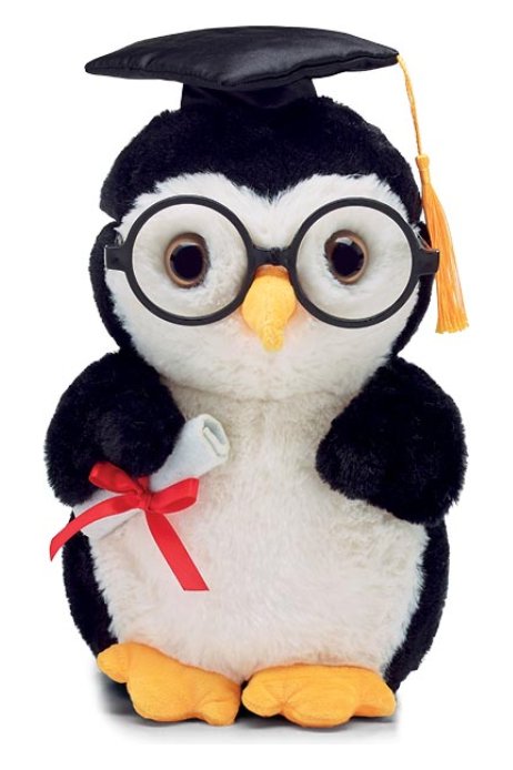 12" GRADUATION PLUSH PENGUIN - The Perfect Gift Shop & Boutique