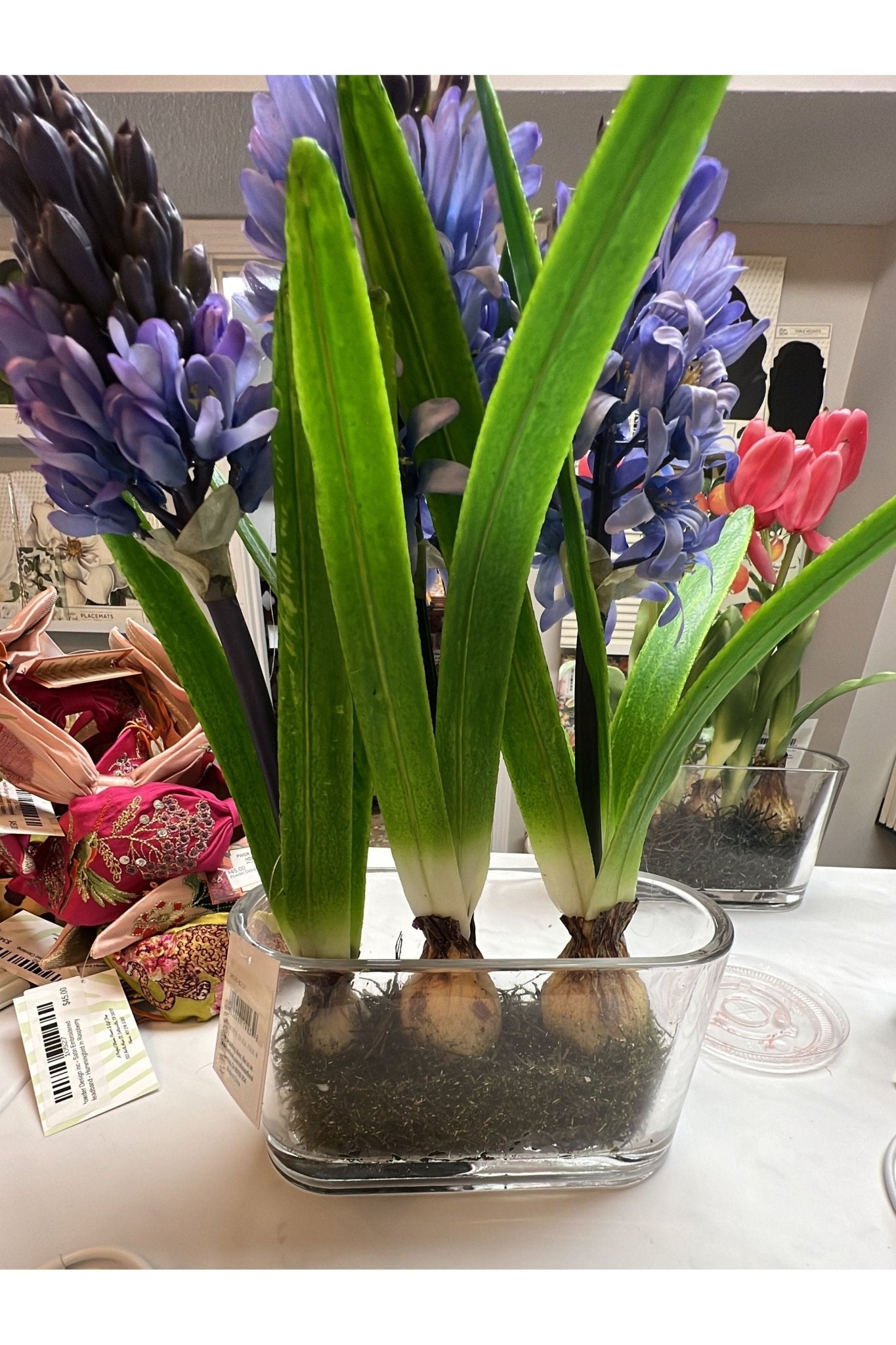 14” hyacinth in glass vase (3 bloom) - The Perfect Gift Shop & Boutique