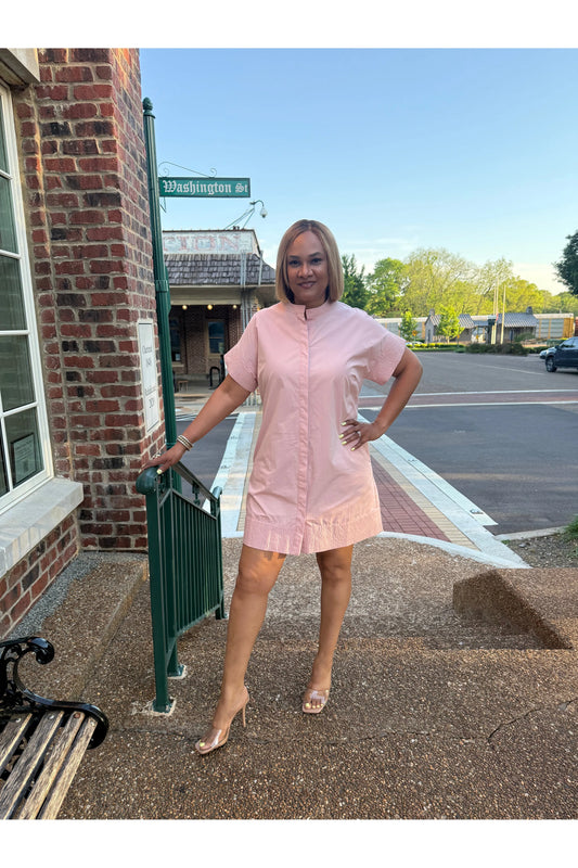 Andria Stand Collar Mini Dress