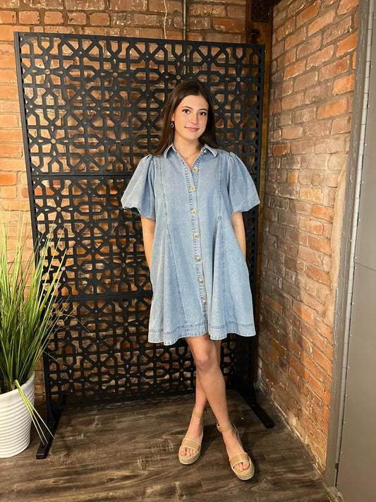 "Elouise" Denim Dress