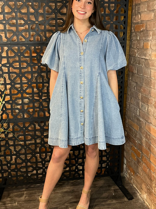 "Elouise" Denim Dress