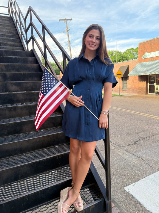 Leslie Navy Shimmer Dress