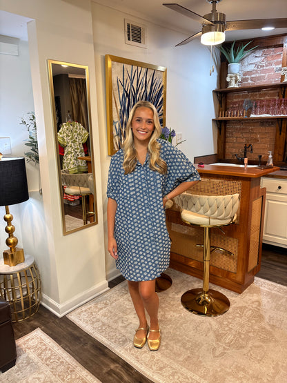 Diane Denim Dress