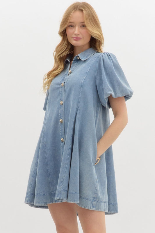 "Elouise" Denim Dress