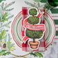 Hester And Cook - Bountiful Frame Table Accent “Holiday Topiary” - The Perfect Gift Shop & Boutique