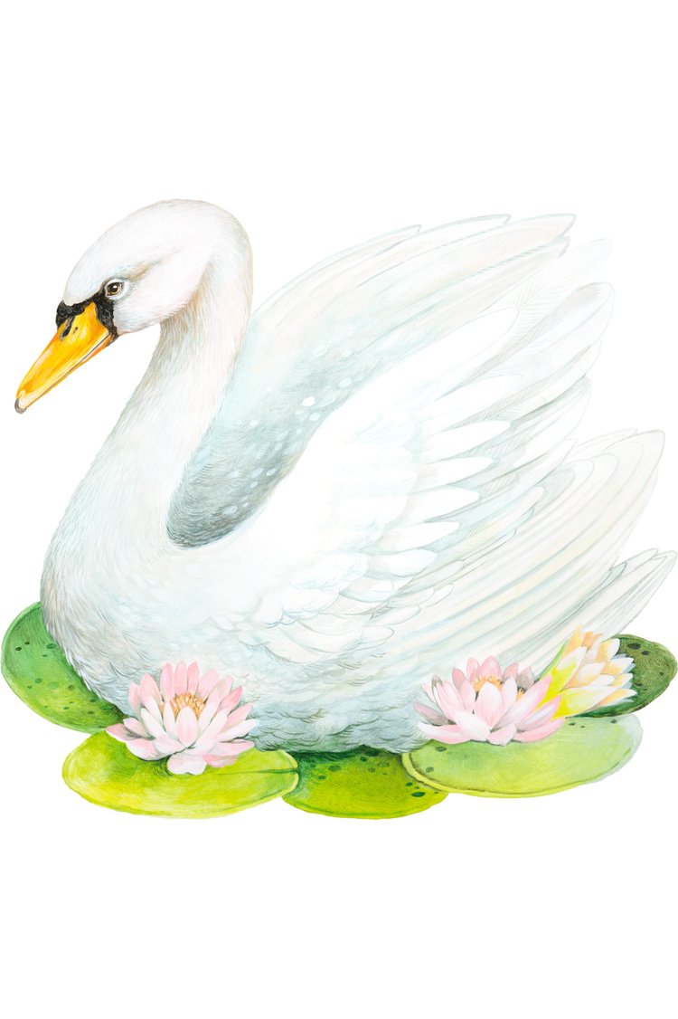 Hester & Cook Fabulous Swan Placemats - The Perfect Gift Shop & Boutique