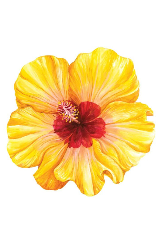 Hester & Cook - Kitchen Papers - Die - cut Hibiscus Placemat - 12 Sheets - The Perfect Gift Shop & Boutique