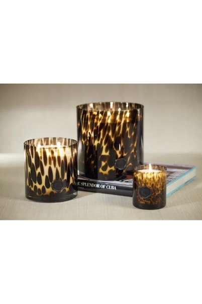 Zodax - Cedar Leaf & Hinoki Wick Candle - The Perfect Gift Shop & Boutique